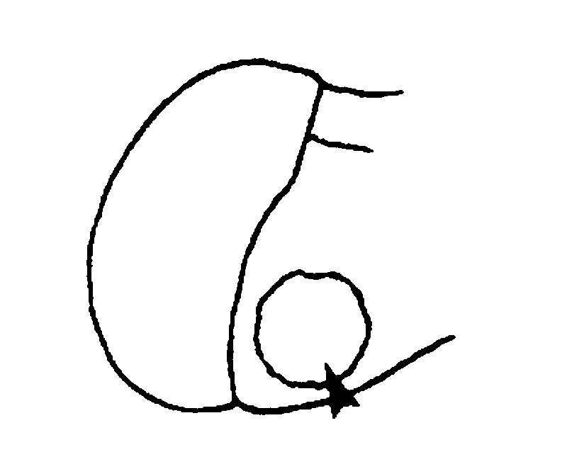 couplet drawing