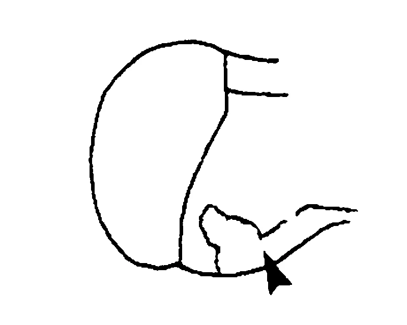 couplet drawing
