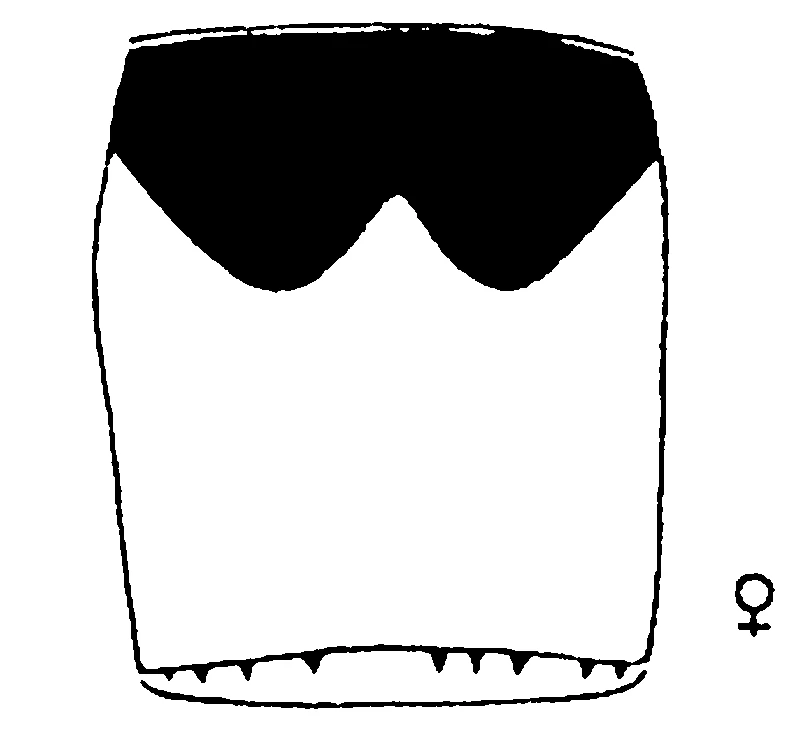 couplet drawing
