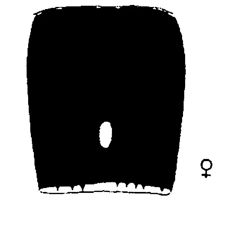 couplet drawing