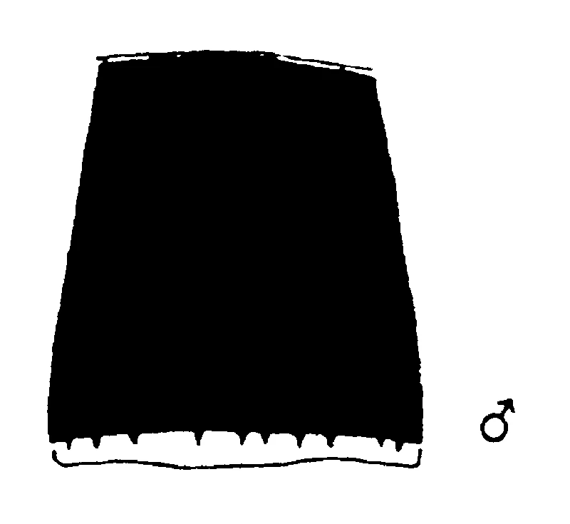 couplet drawing