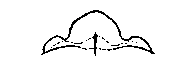 couplet drawing