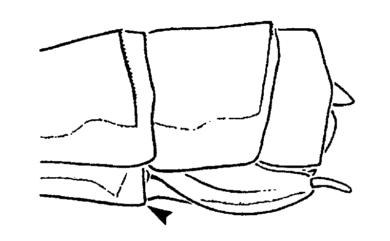 couplet drawing