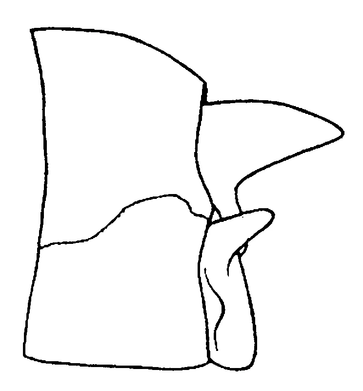 couplet drawing