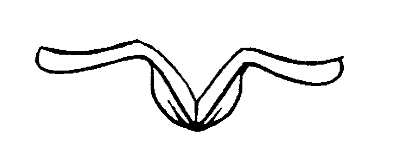 couplet drawing