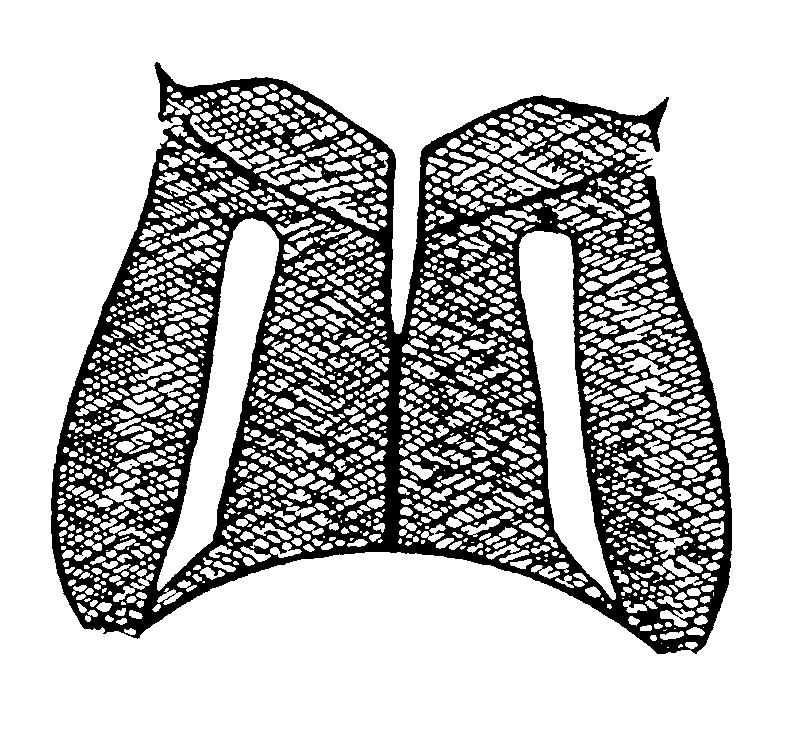 couplet drawing
