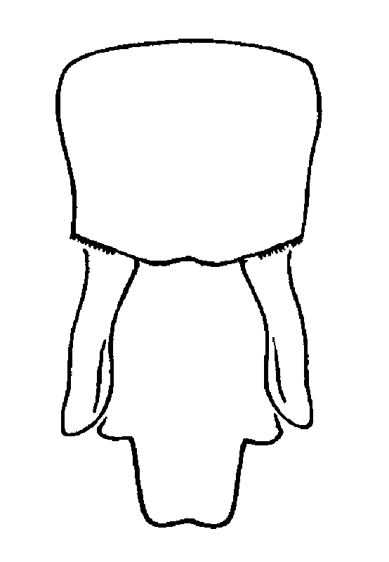 couplet drawing