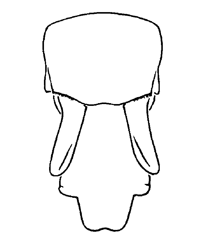 couplet drawing