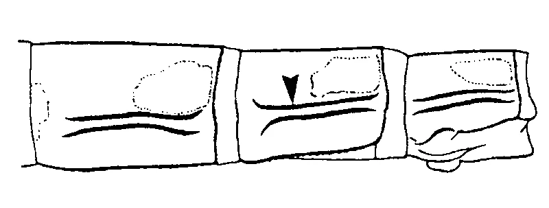 couplet drawing