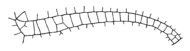 couplet drawing