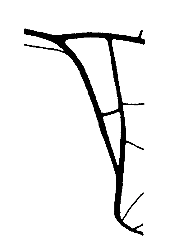 couplet drawing