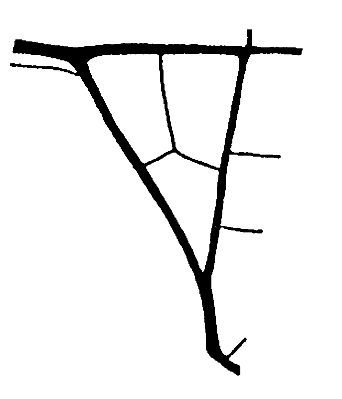 couplet drawing