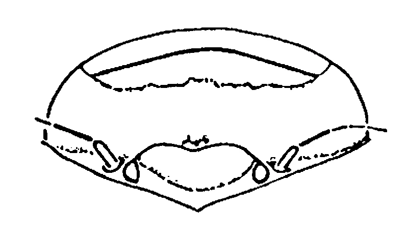 couplet drawing