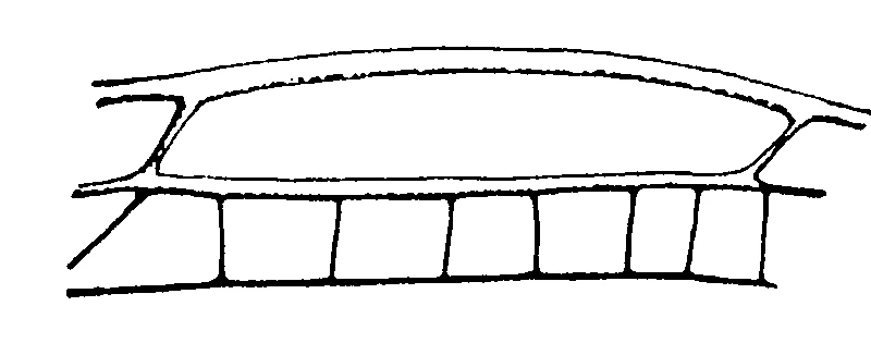 couplet drawing