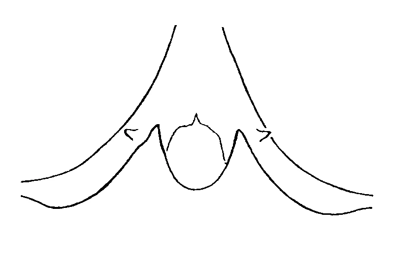 couplet drawing