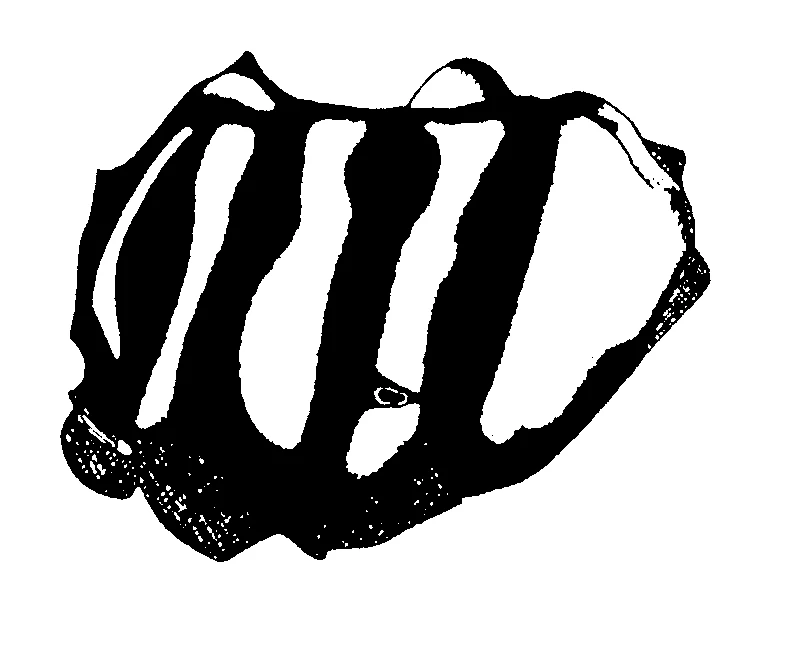 couplet drawing