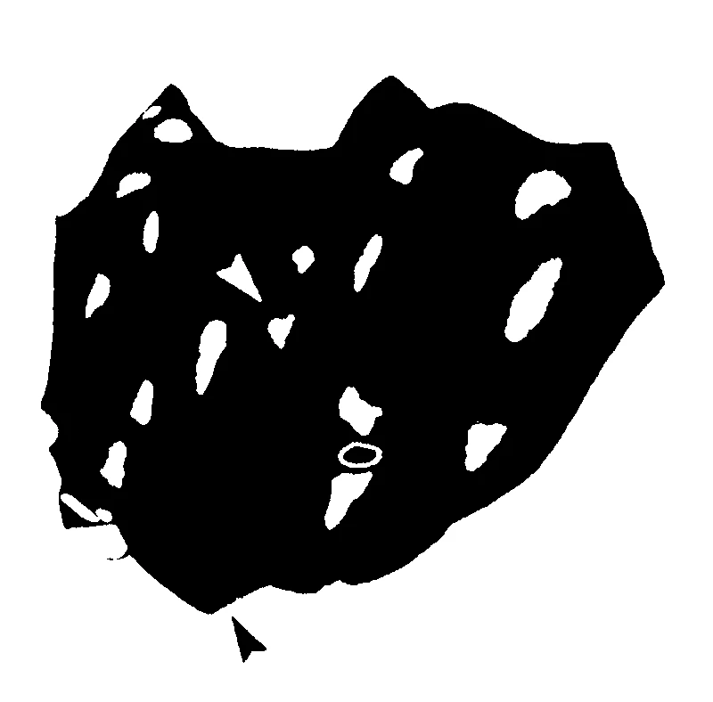 couplet drawing