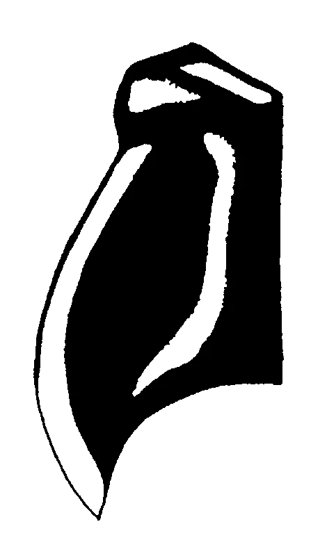 couplet drawing