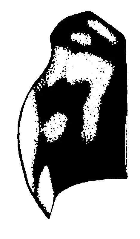 couplet drawing