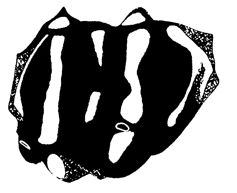 couplet drawing