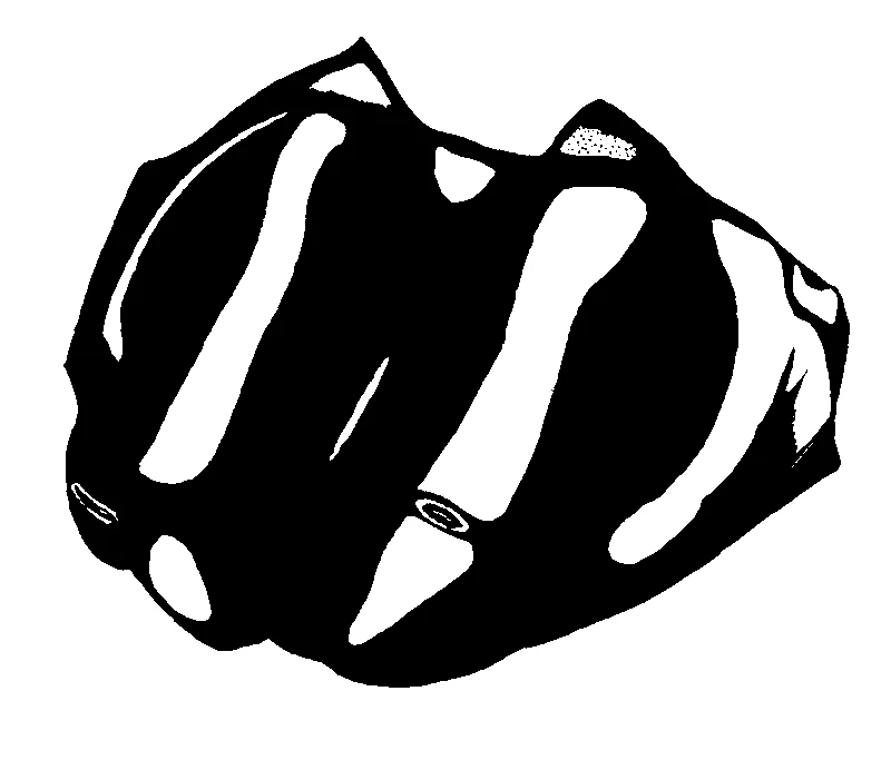 couplet drawing