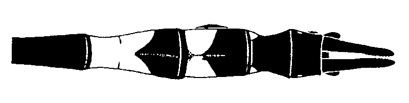 couplet drawing