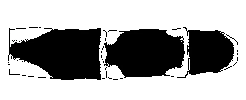 couplet drawing