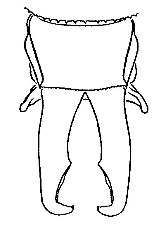 couplet drawing