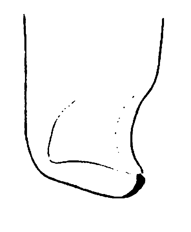 couplet drawing