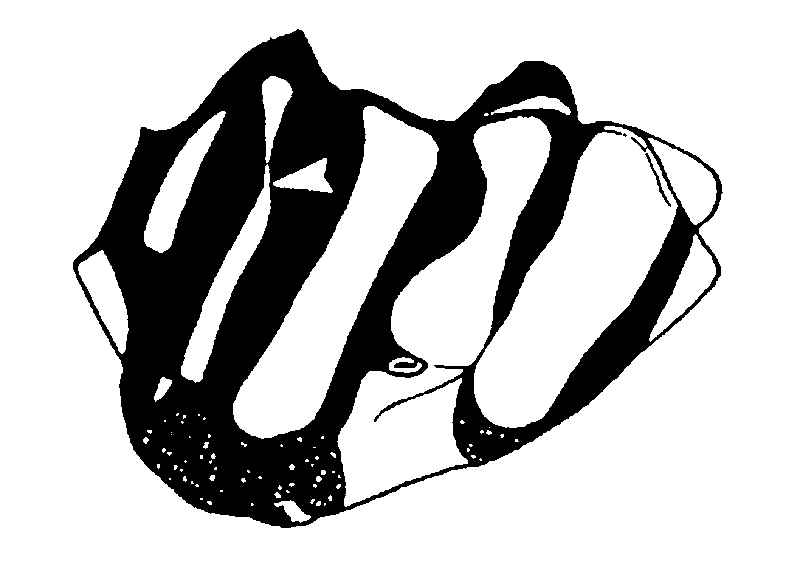 couplet drawing