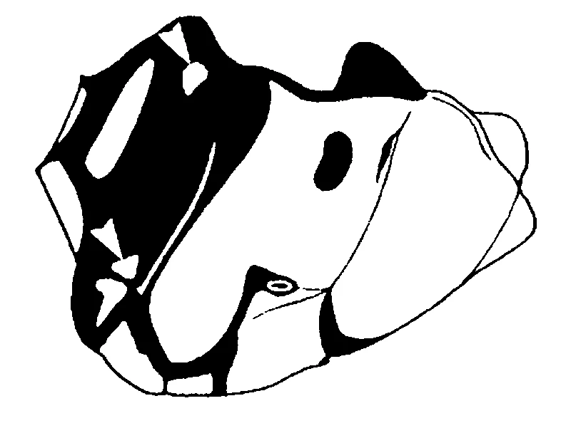 couplet drawing