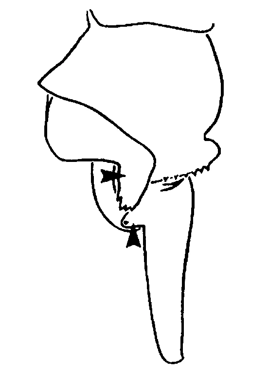 couplet drawing