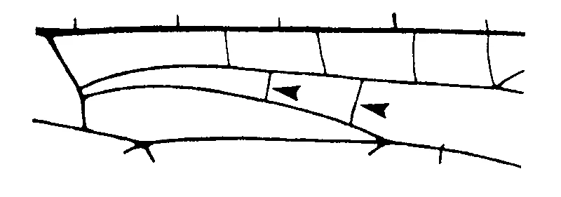 couplet drawing