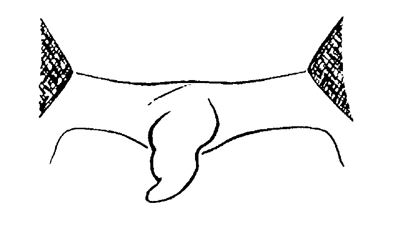 couplet drawing