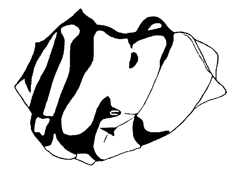 couplet drawing