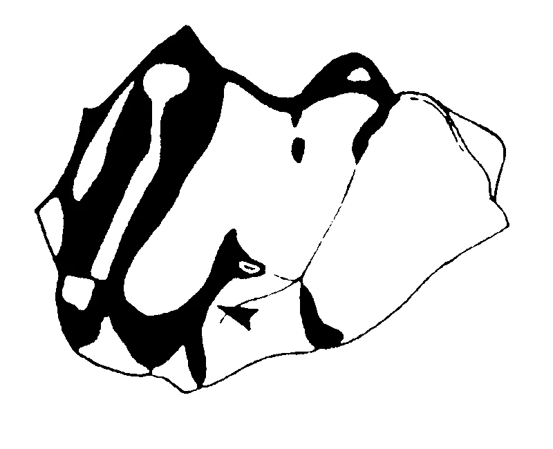 couplet drawing