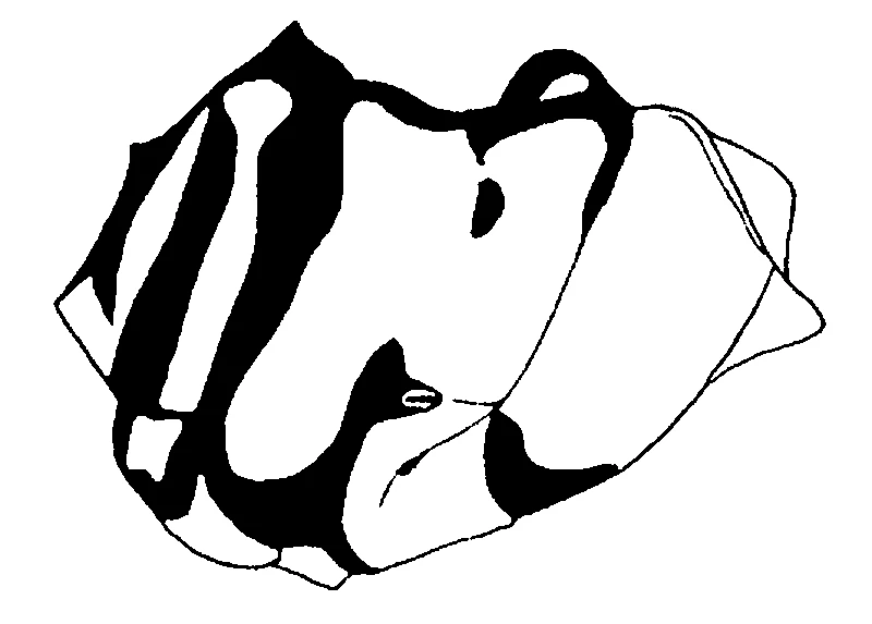couplet drawing
