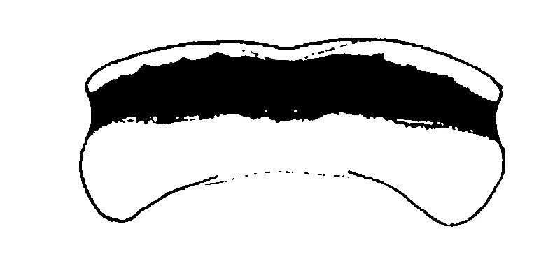 couplet drawing