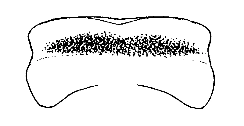 couplet drawing