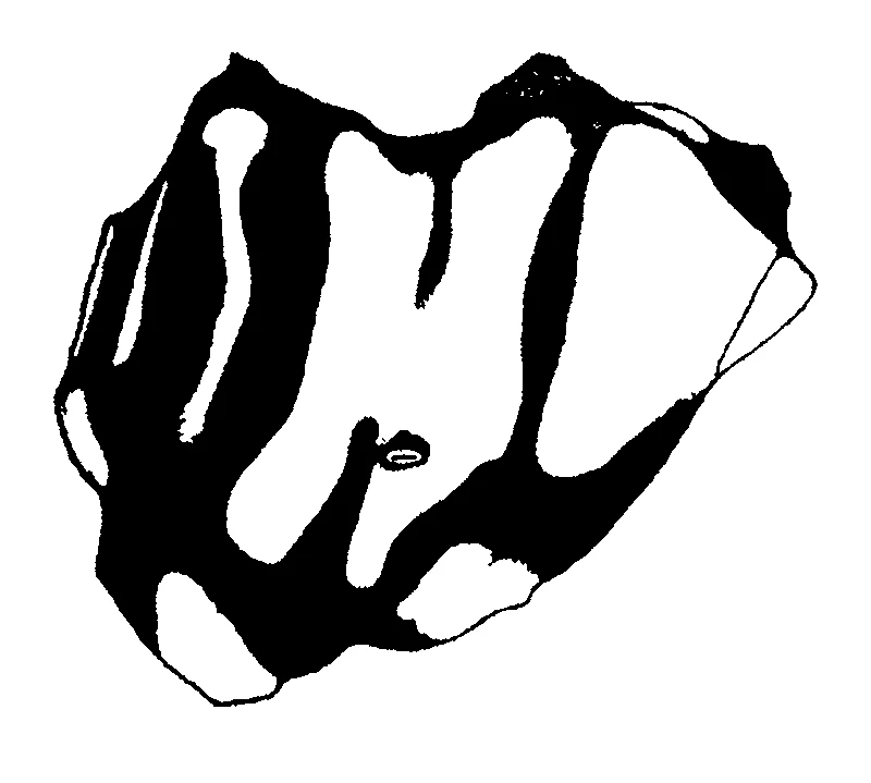 couplet drawing