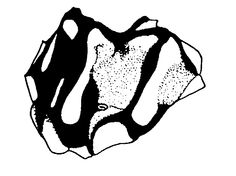 couplet drawing