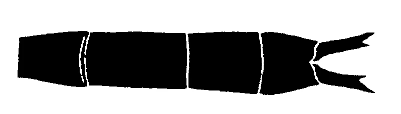 couplet drawing