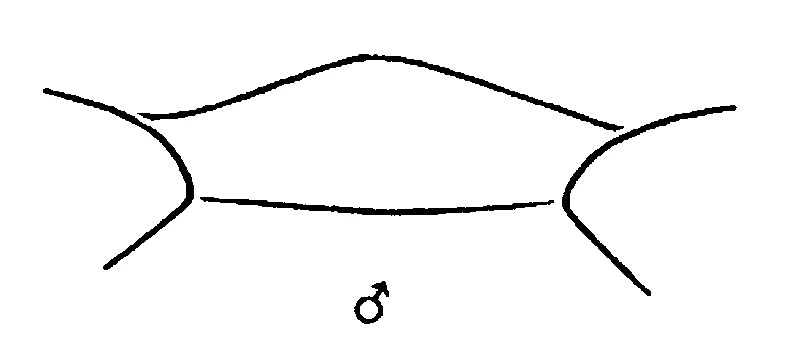 couplet drawing