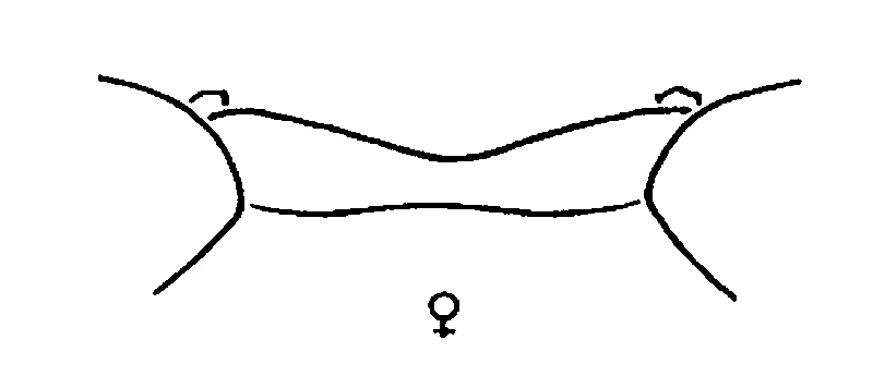 couplet drawing