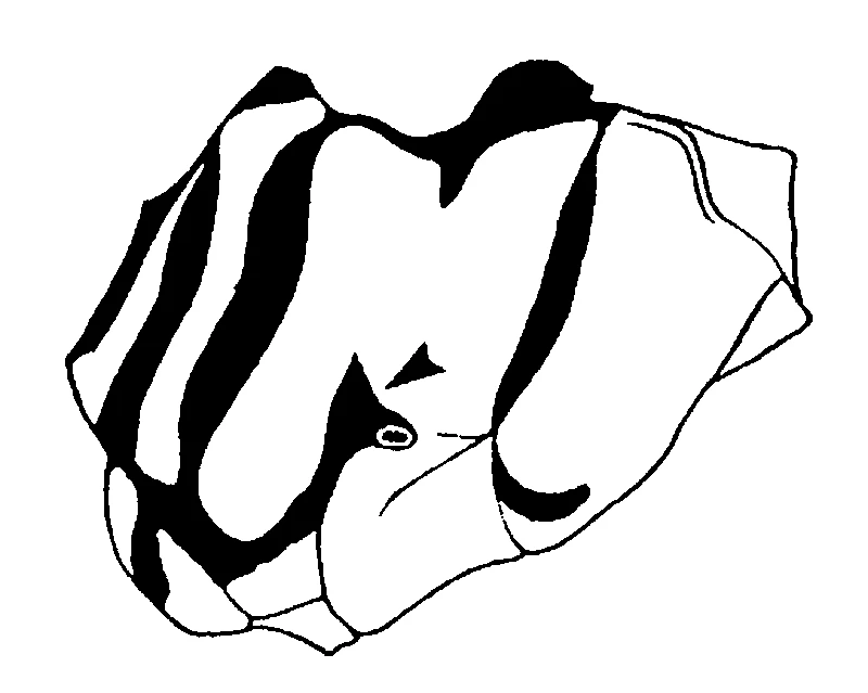 couplet drawing