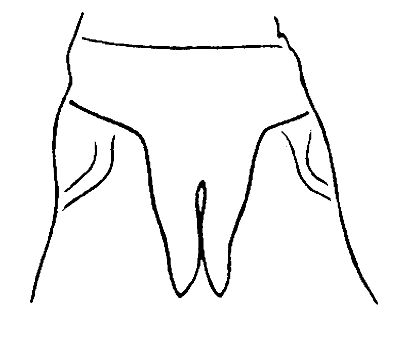 couplet drawing