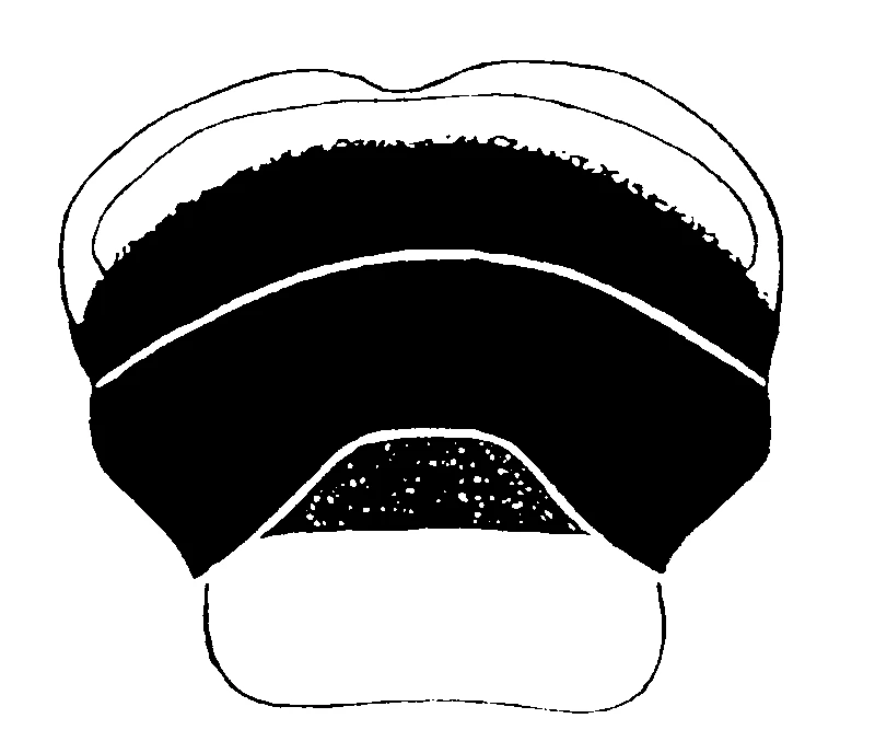 couplet drawing