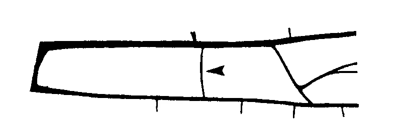 couplet drawing