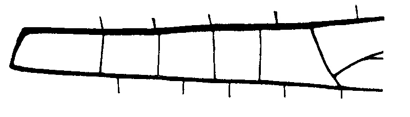 couplet drawing