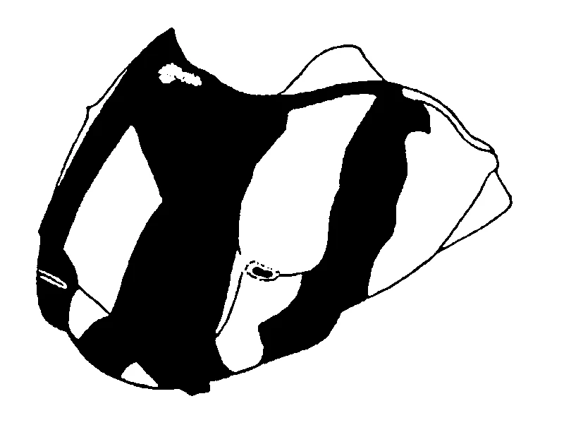 couplet drawing